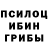 Галлюциногенные грибы Magic Shrooms Sai Blackbyrn
