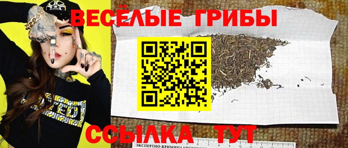 Гагарин  Галлюциногенные грибы ЛСД  Галлюциногенные грибы Psilocybine cubensis  Вход с VPN 
